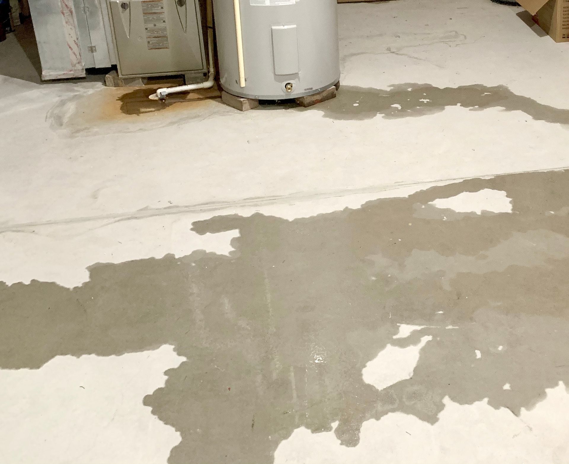 Dry Out Now: Proven Strategies to Fix Your Wet Basement Woes