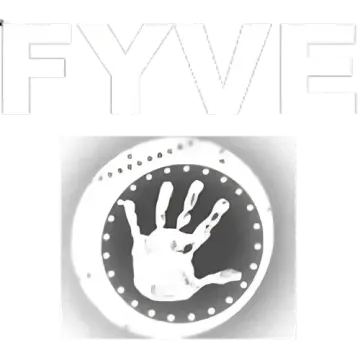 FYV Electric