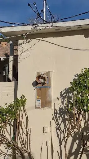 A utility box is mounted on a beige wall, surrounded by wires and topped with utility poles. Green plants frame the scene.