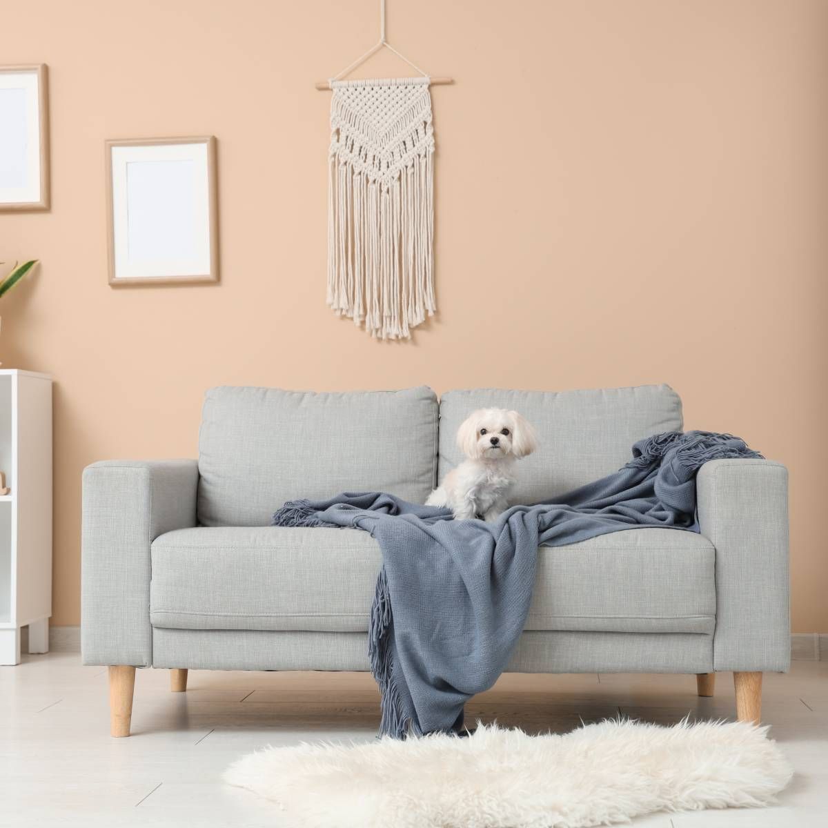 Person wearing blue gloves cleaning floor with spray bottle and cloth, bucket in background.