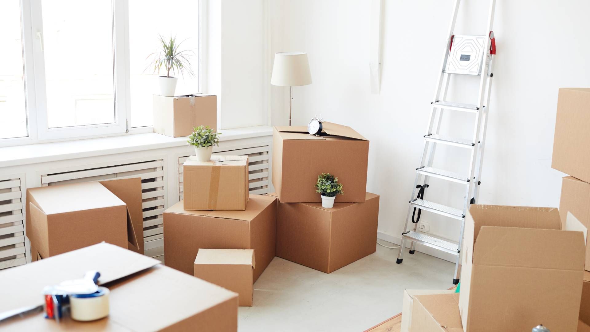 Boxes stacked in a bright room, plants on top. Ladder leans against the wall, tape on table.