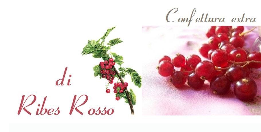 confettura di ribes rosso