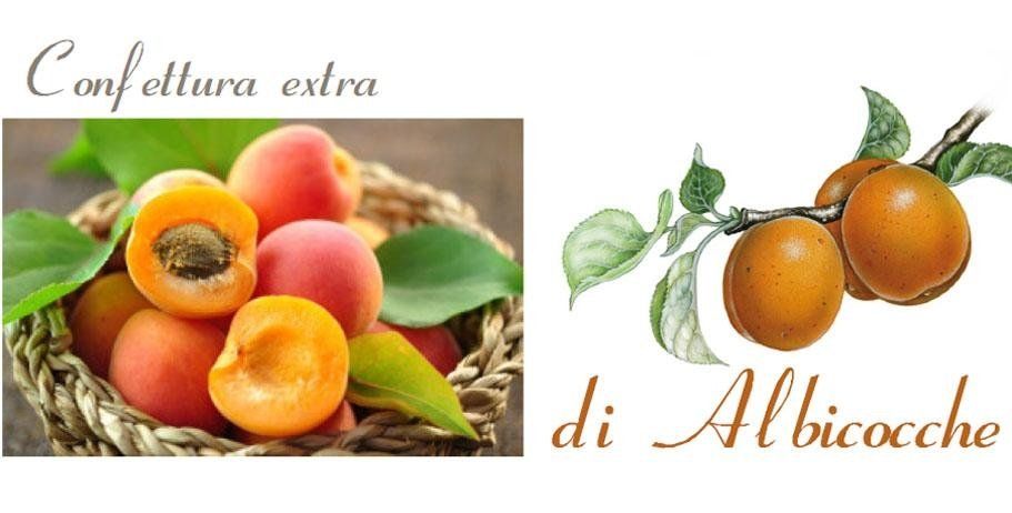 confettura di albicocche