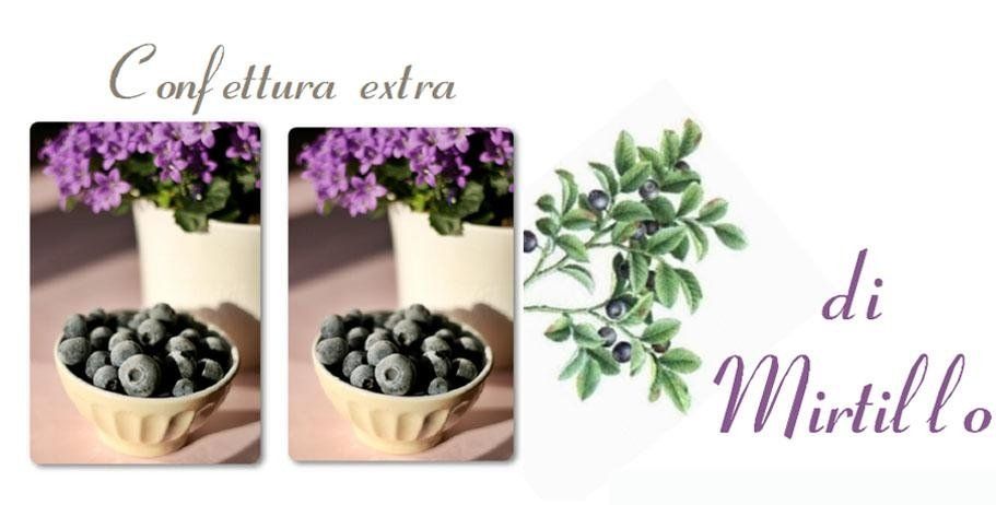 confettura di mirtillo