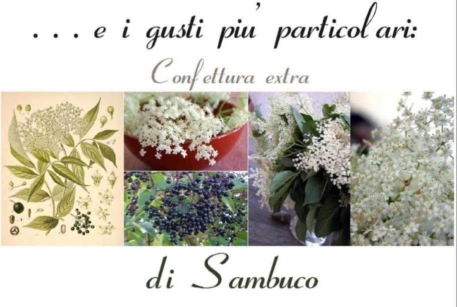 confettura di sambuco