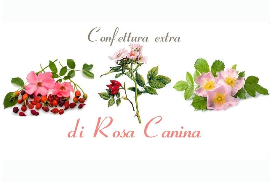 confettura di rosa canina