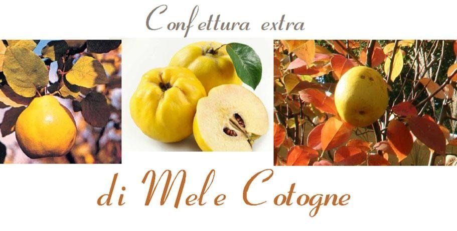 confettura di mele cotogne