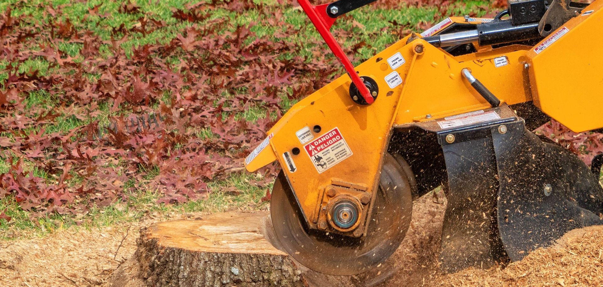 A yellow tractor is stump grinding a tree stump in a lawn.