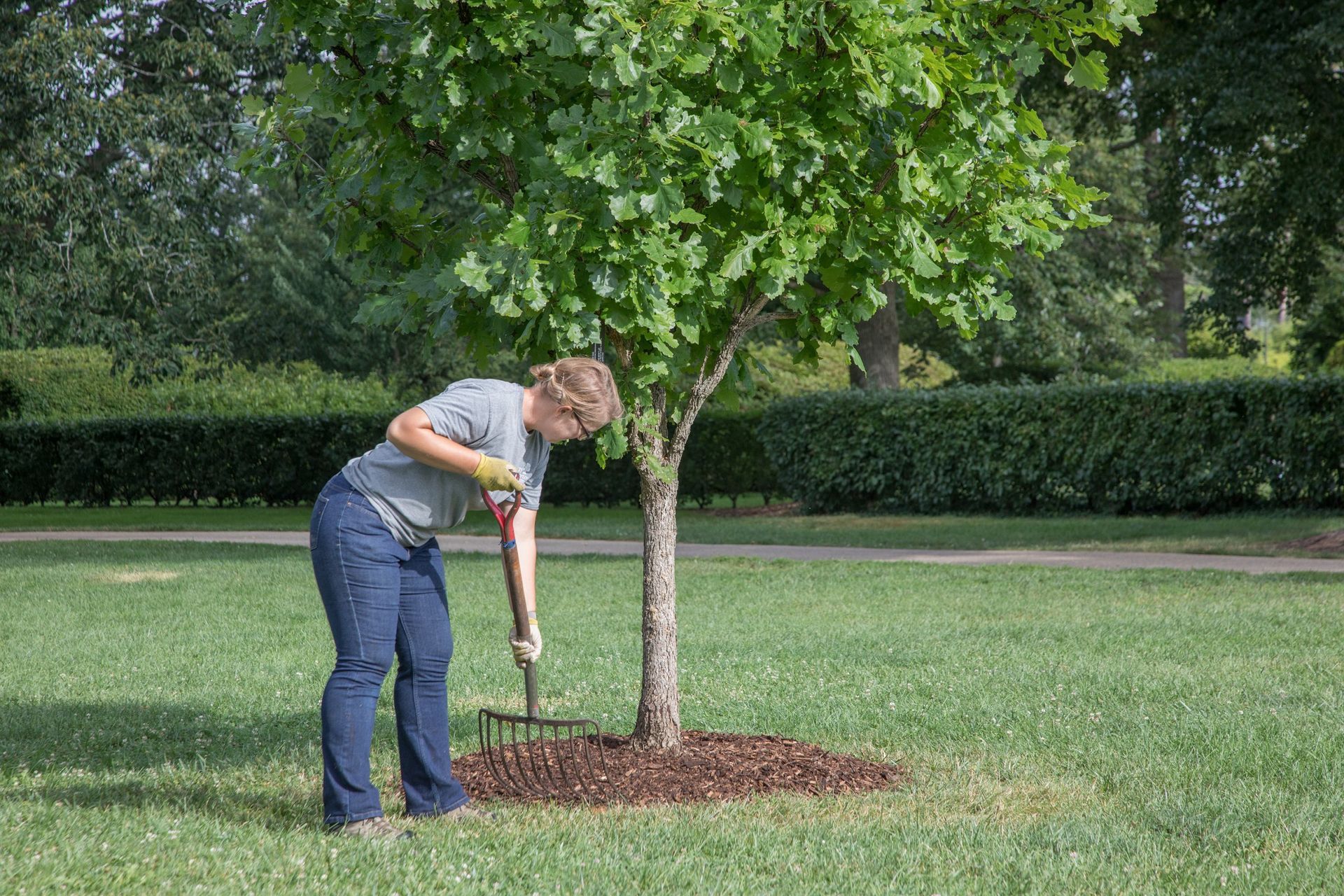 There are many bags of mulch in the garden.