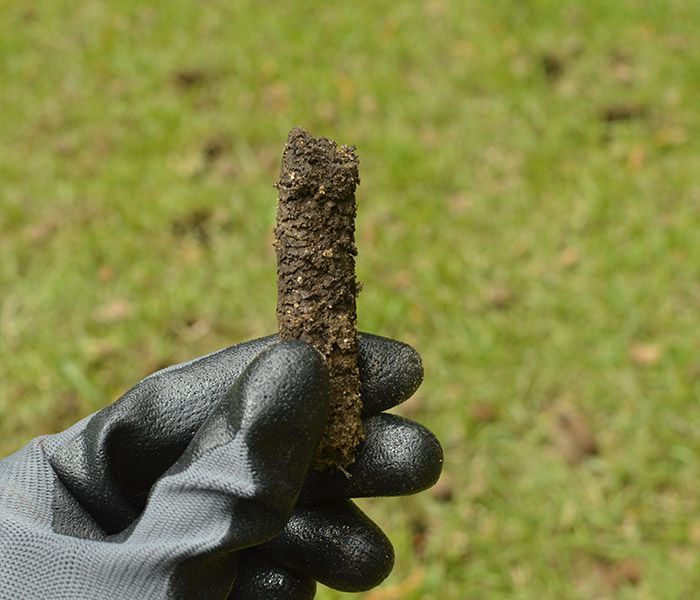 A person wearing a black glove is holding a piece of dirt in their hand.