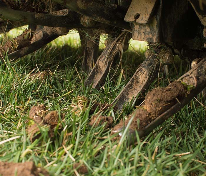 A close up of a lawn mower on a lush green lawn.