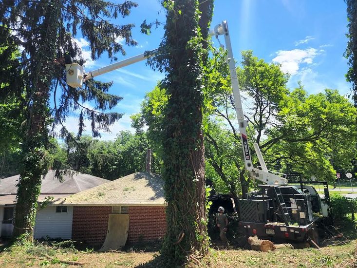 A crane is cutting a tree in front of a house.