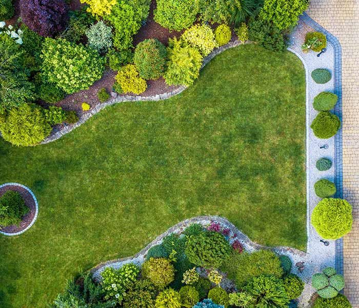 An aerial view of a lush green garden with lots of trees and bushes.