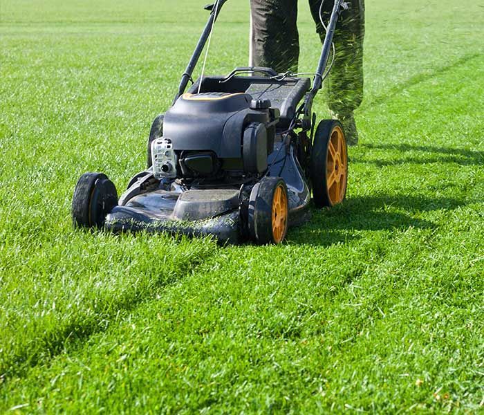 A person is mowing a lush green lawn with a lawn mower.