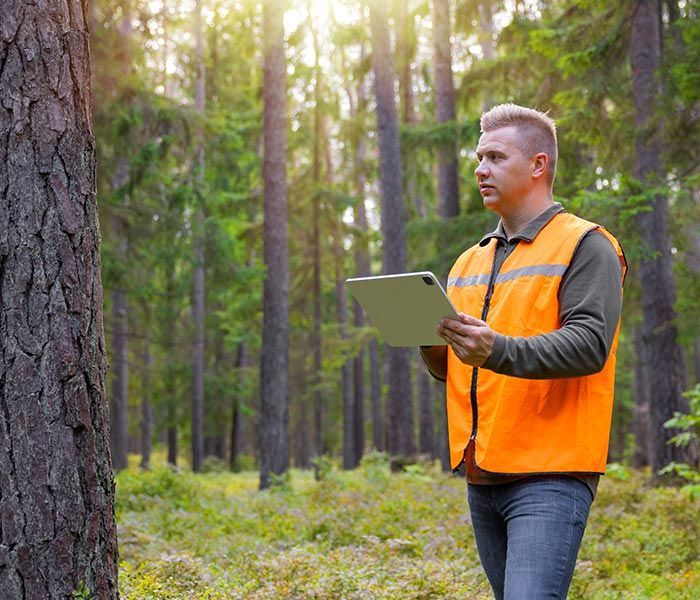 A man in an orange vest is standing in the woods holding a tablet.