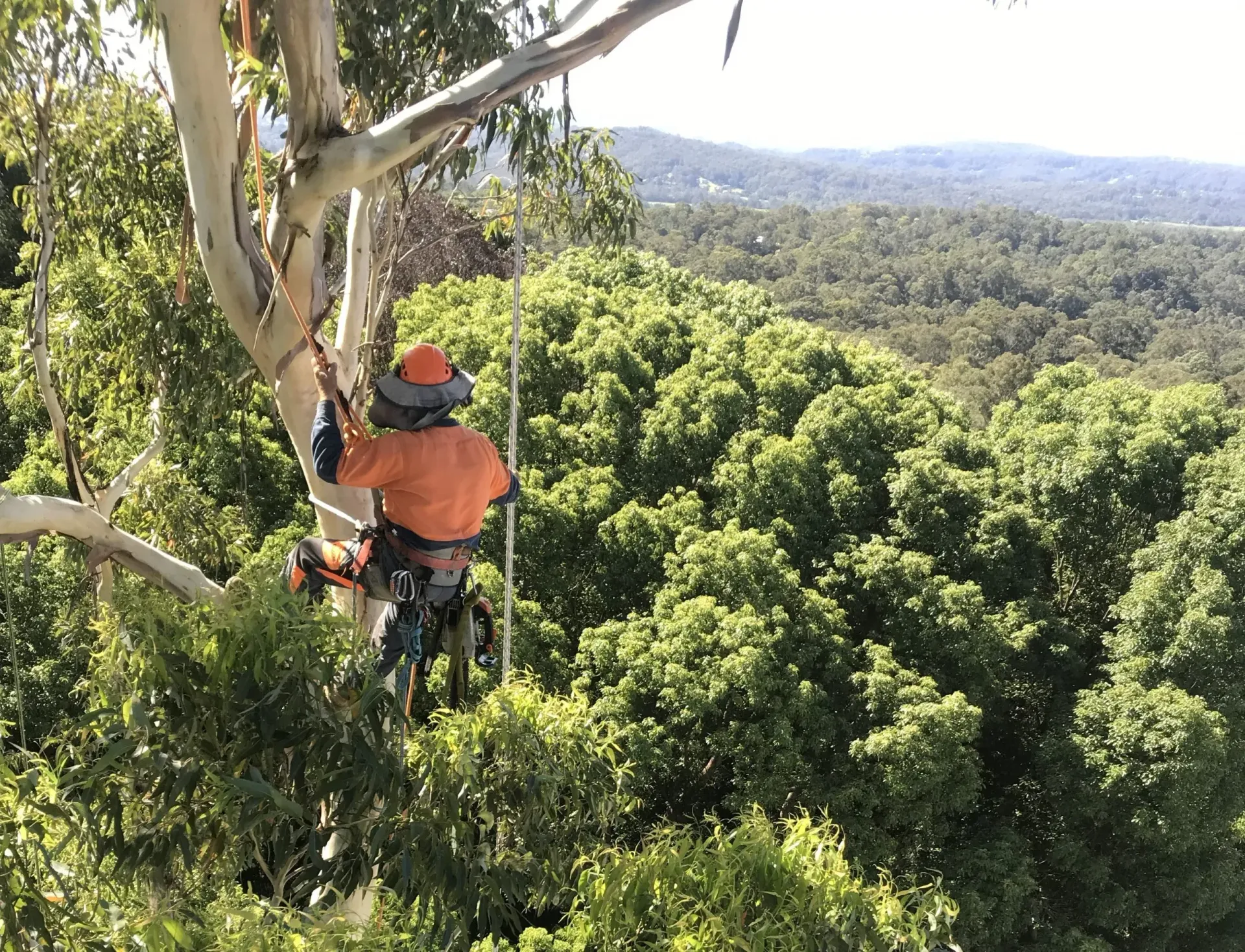 A man is cutting a tree branch with a chainsaw.