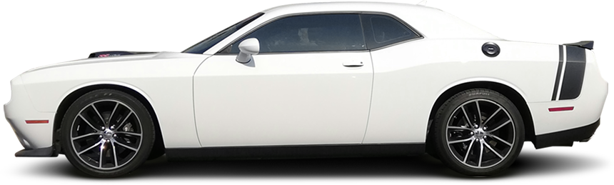 White Dodge Challenger with black racing stripes on the rear quarter panel. | Madison Automotive