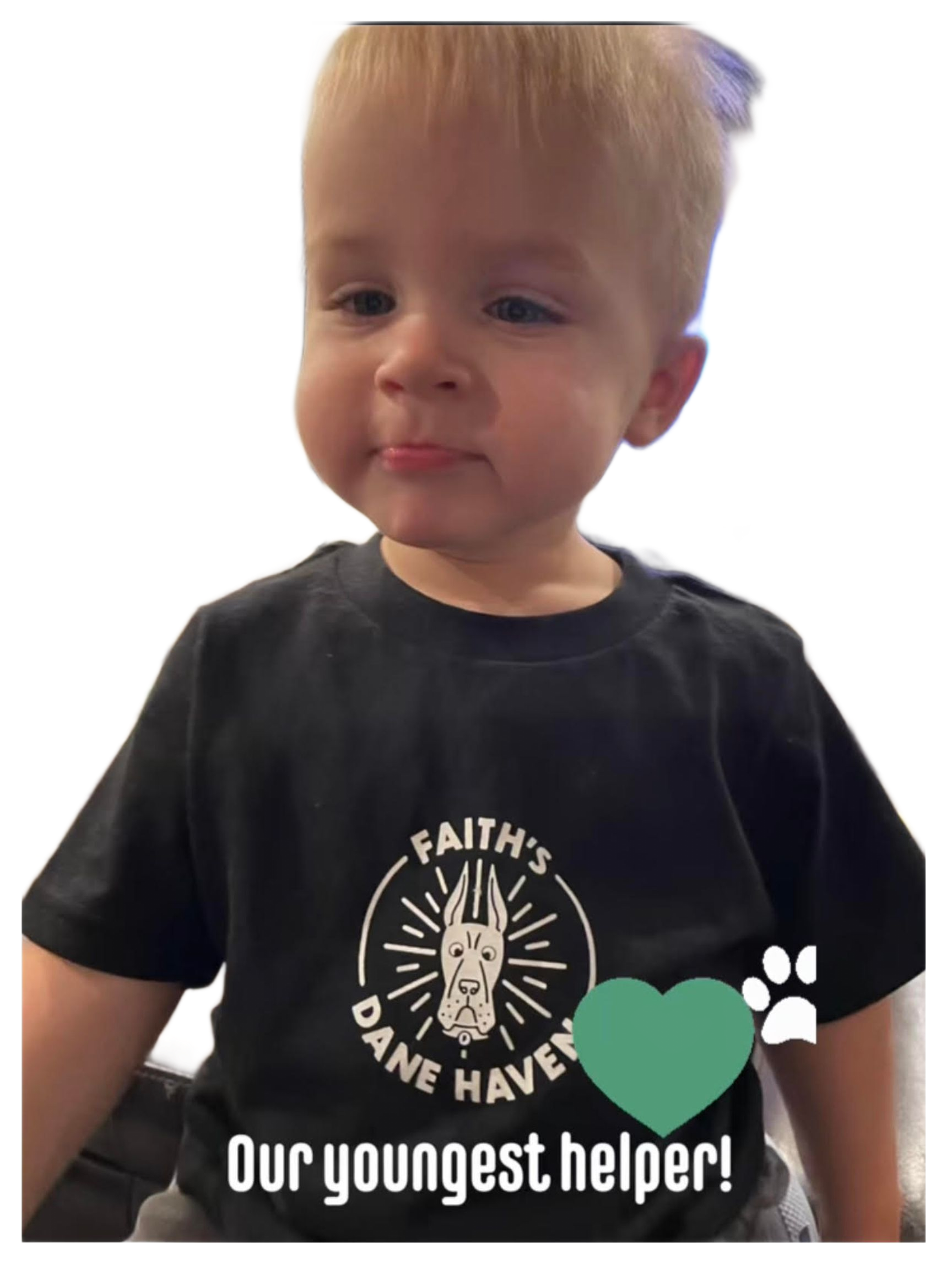 Stay warm in the FDH Cozy Beanie, crafted from soft knit material with a bold FDH logo for comfort, style, and everyday wear.