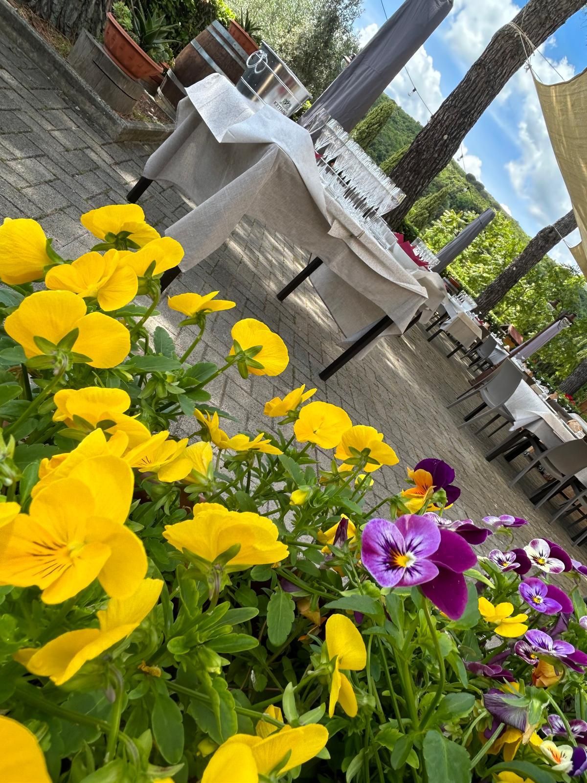 Un mazzo di fiori gialli e viola cresce davanti a un ristorante.