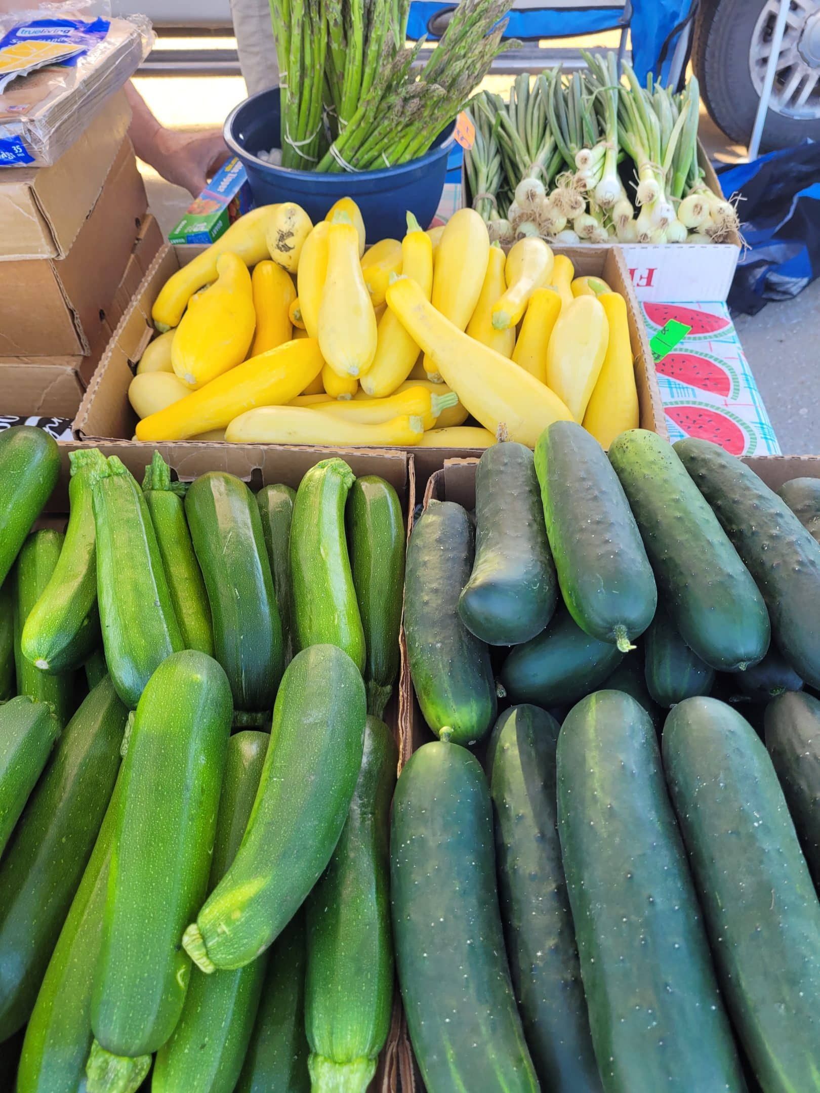 Produce stand display: zucchini, yellow squash, asparagus, and green onions for sale.