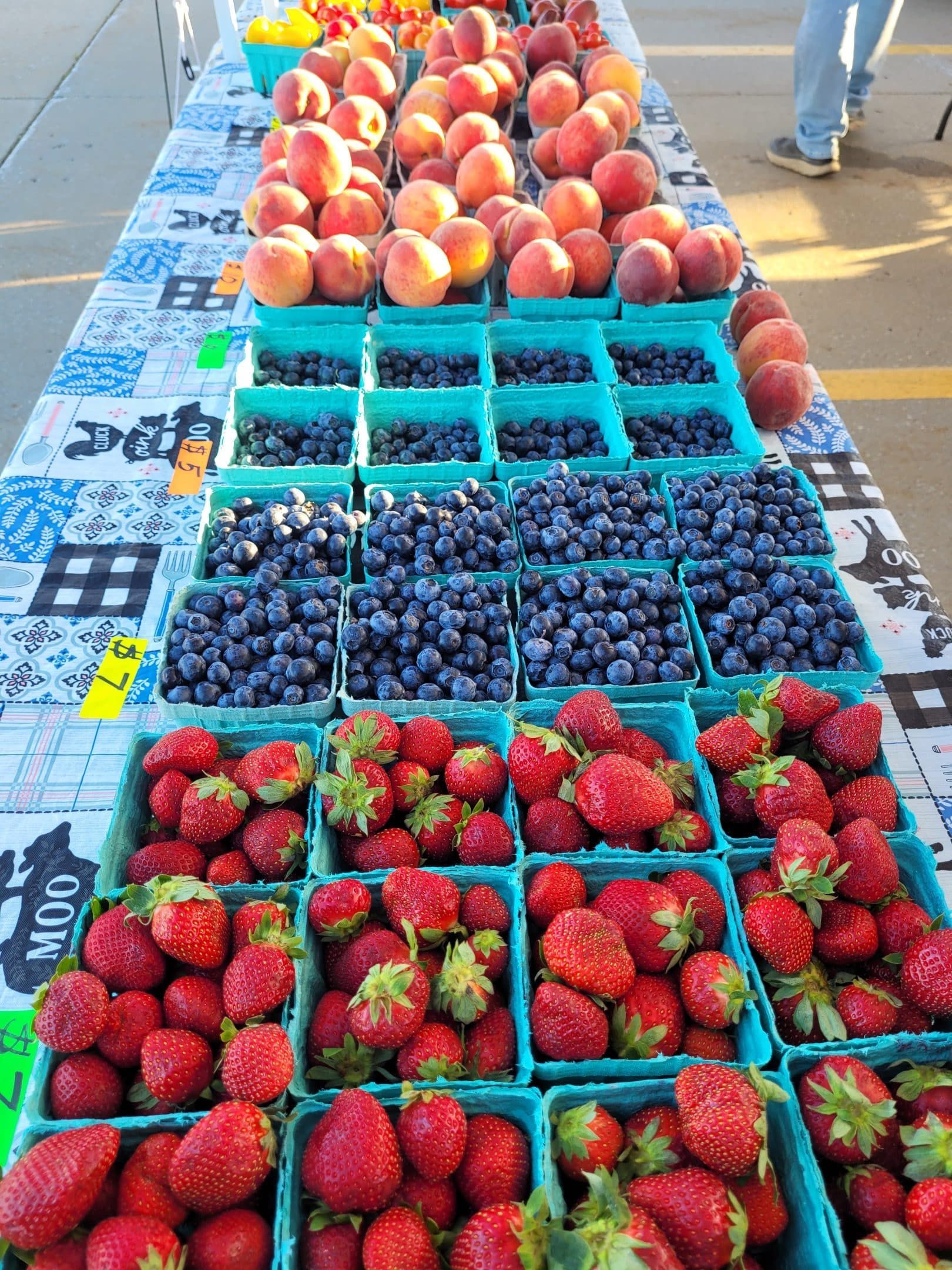 A farmer's market table displays peaches, blueberries, and strawberries in blue baskets.