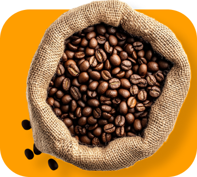 Bag of roasted coffee beans on an orange background.