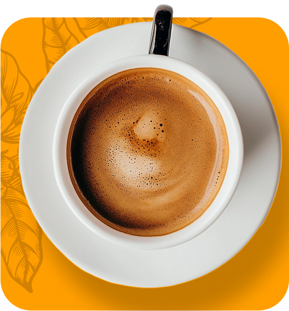 Coffee in white cup on saucer, overhead view, resting on orange background with leaf details.