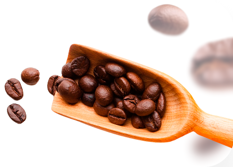 Coffee beans in a wooden scoop, spilling out onto a white background.