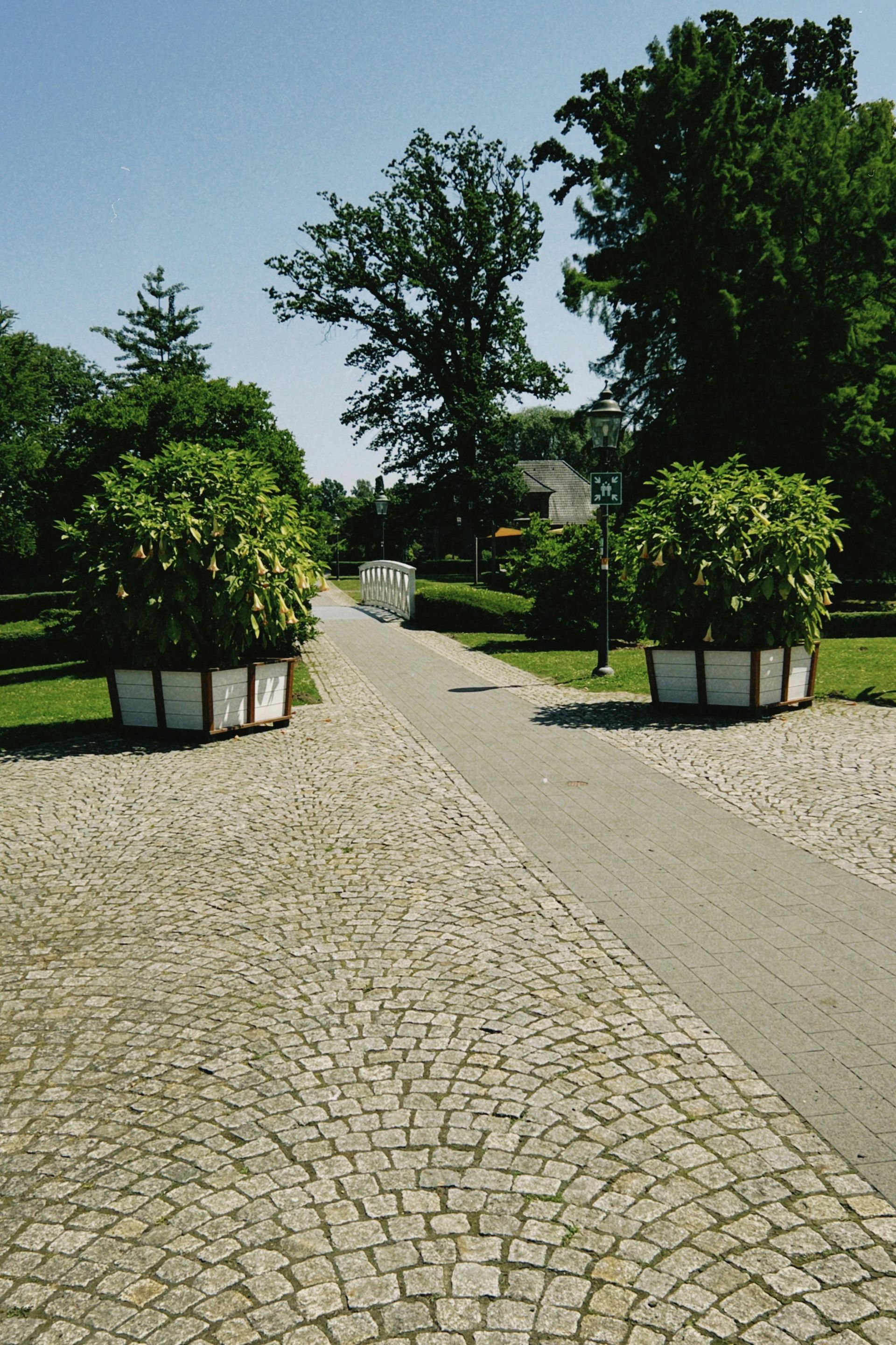 A paved stone path leads toward a small bridge, flanked by two large potted shrubs under a clear blue sky.