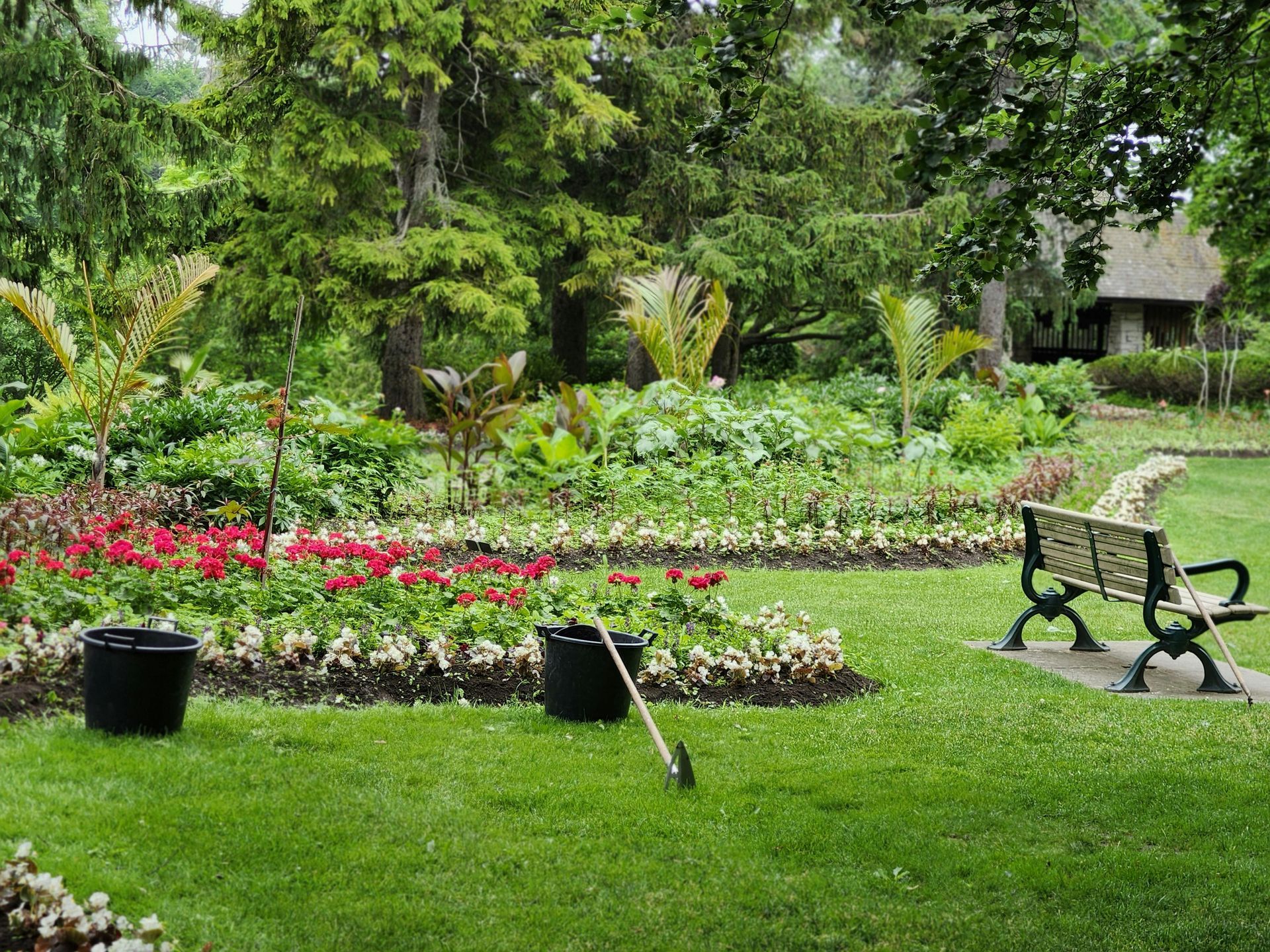 Landscape Renovation