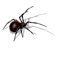 Black Widow Webbing logo