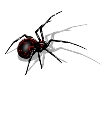 Black Widow Webbing