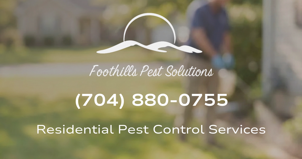 Residential Pest Control Services | Safe, Effective Home Pest Protection