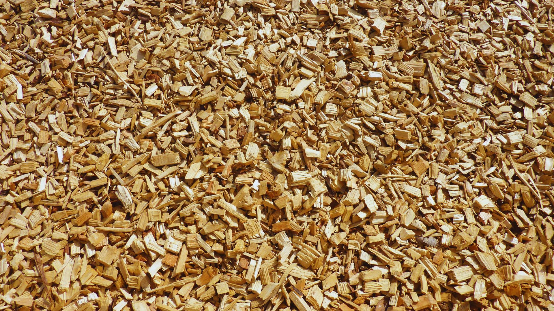 A terra c'è un mucchio di trucioli di legno.