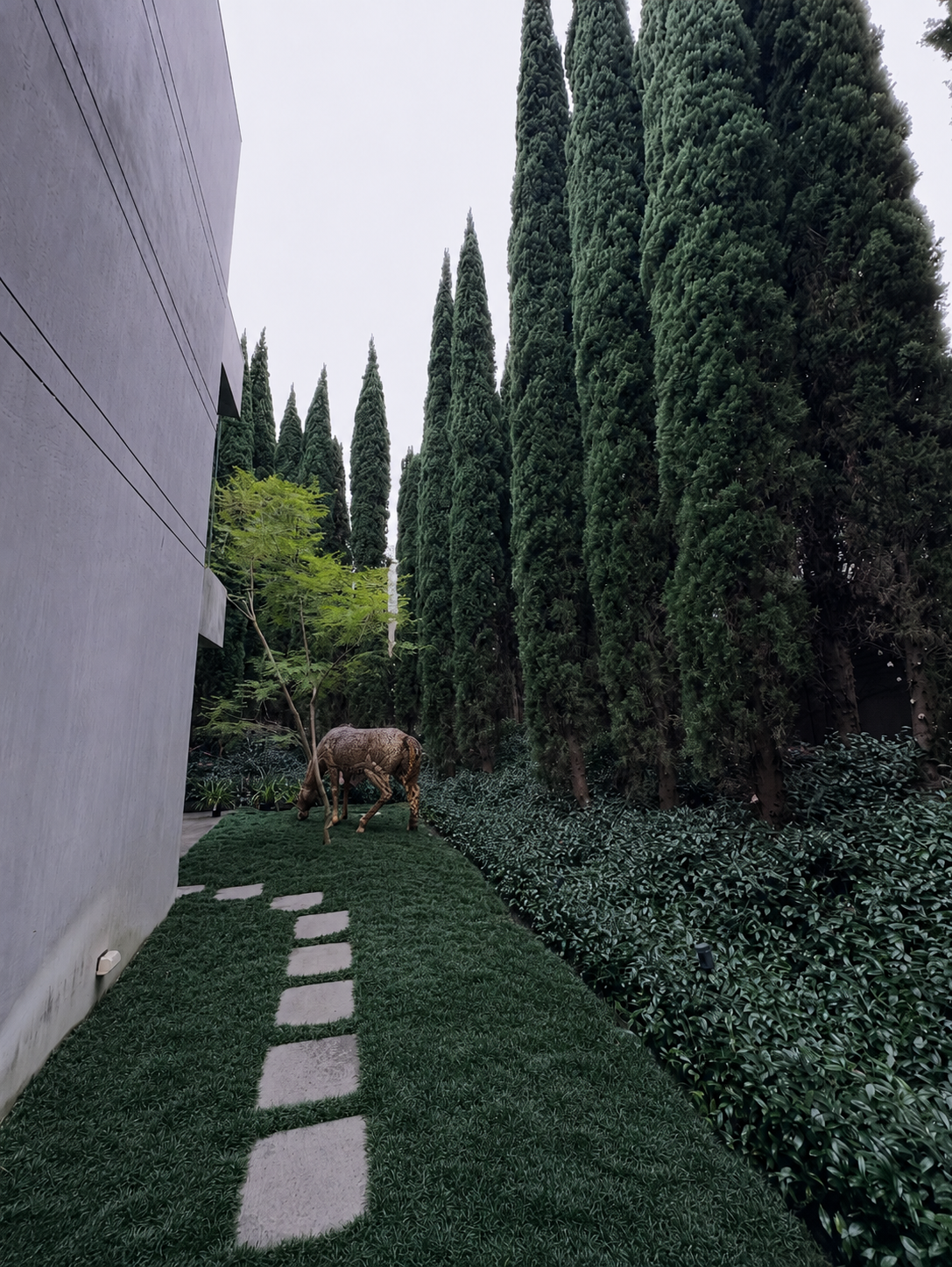 Narrow garden path with stepping stones beside a wall, tall cypress trees, and a deer at the end.