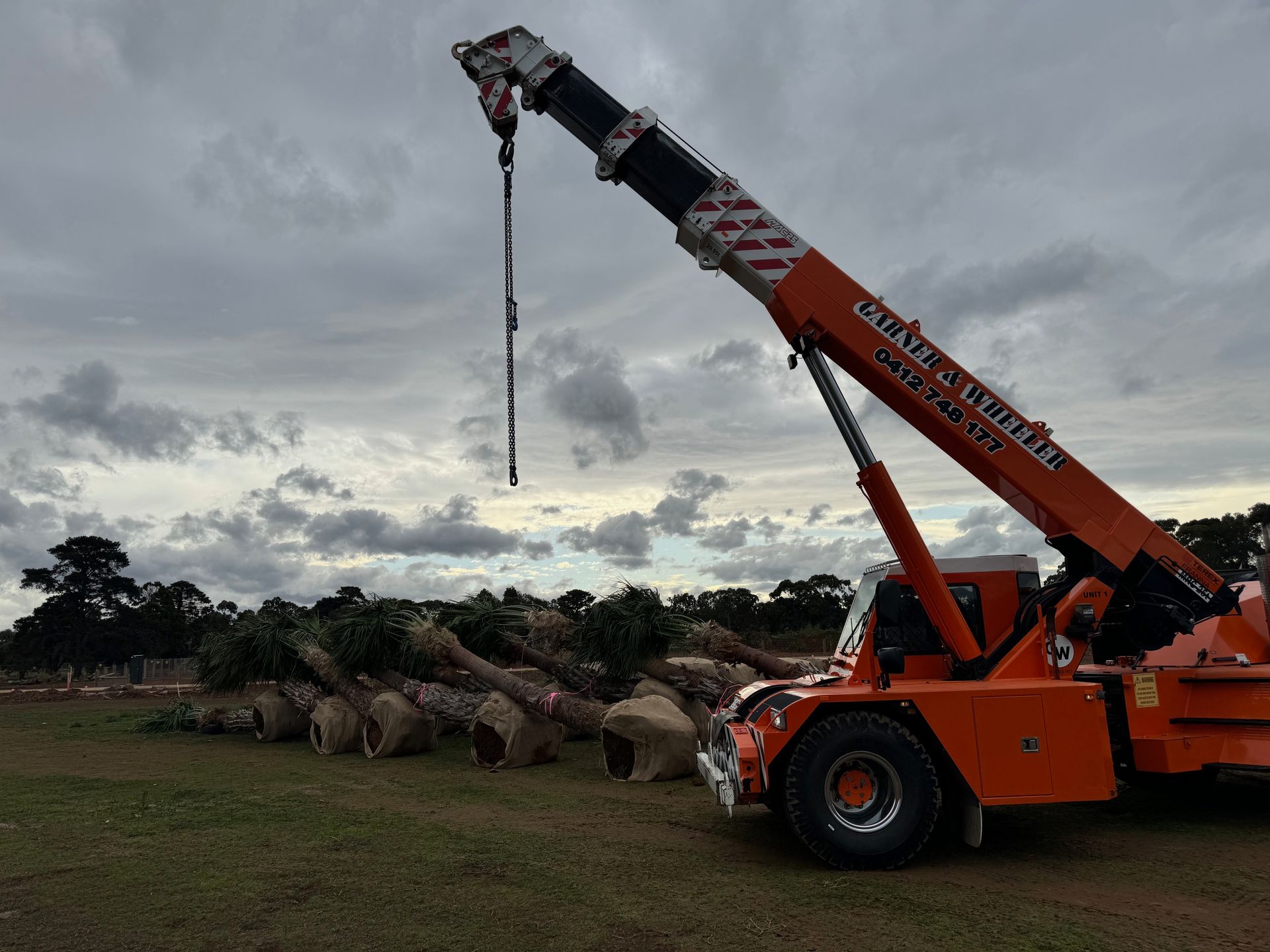 Orange crane lifting trees in a field under a cloudy sky.
