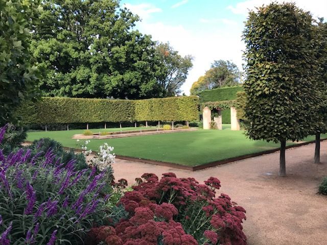 A man is standing on a ladder in front of a large hedge in a garden.