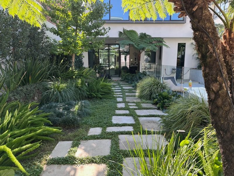 Stone pathway leads to a modern house with glass doors, surrounded by lush green plants and trees.