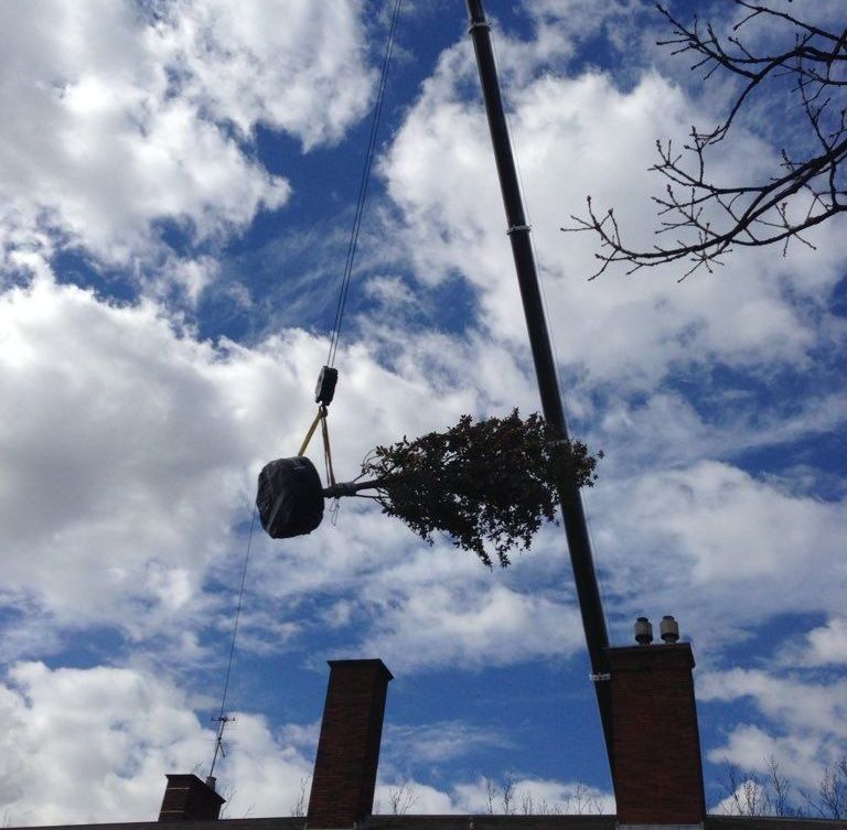 A crane lifts a tree wrapped in black plastic over a brick chimney against a cloudy sky.