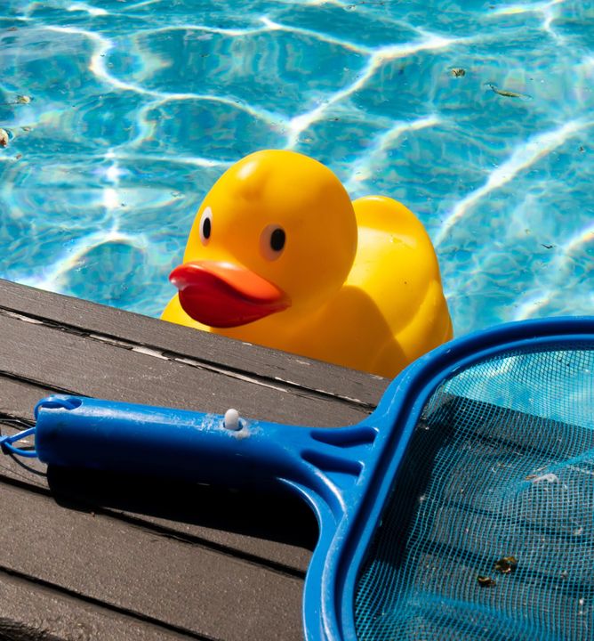 Yellow rubber duck floating in a pool beside a blue net on a wooden deck