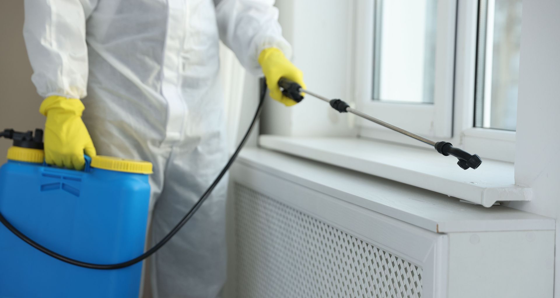Worker in white protective suit spraying disinfectant near a window with a blue backpack sprayer Worker in white protective suit spraying disinfectant near a window with a blue backpack sprayer