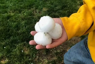 Hand hailstones