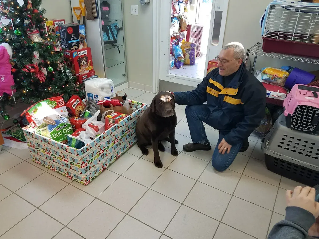 A person kneels next to a chocolate Labrador retriever near a large gift box filled with pet supplies and a tree.
