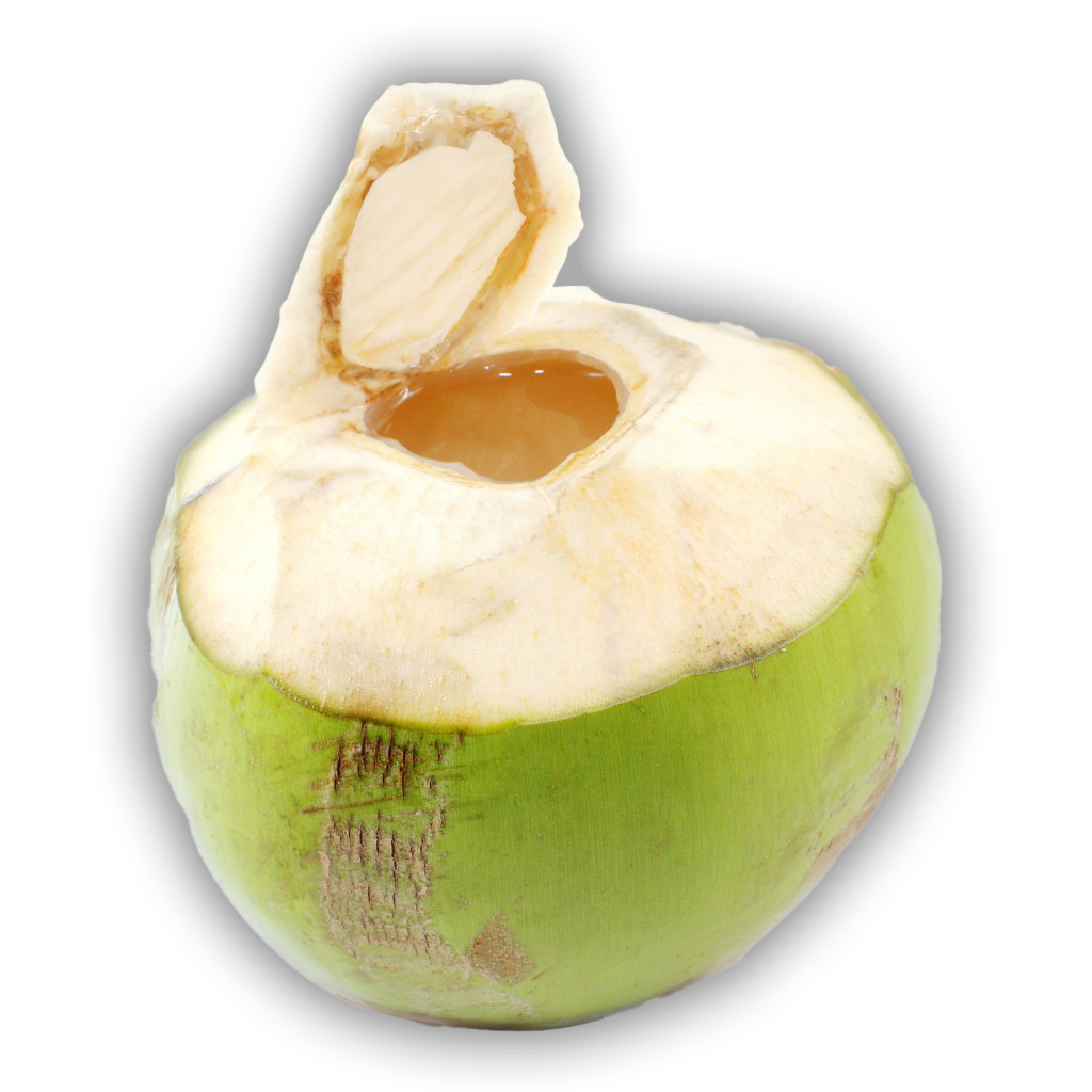 fresh green coconut water toronto