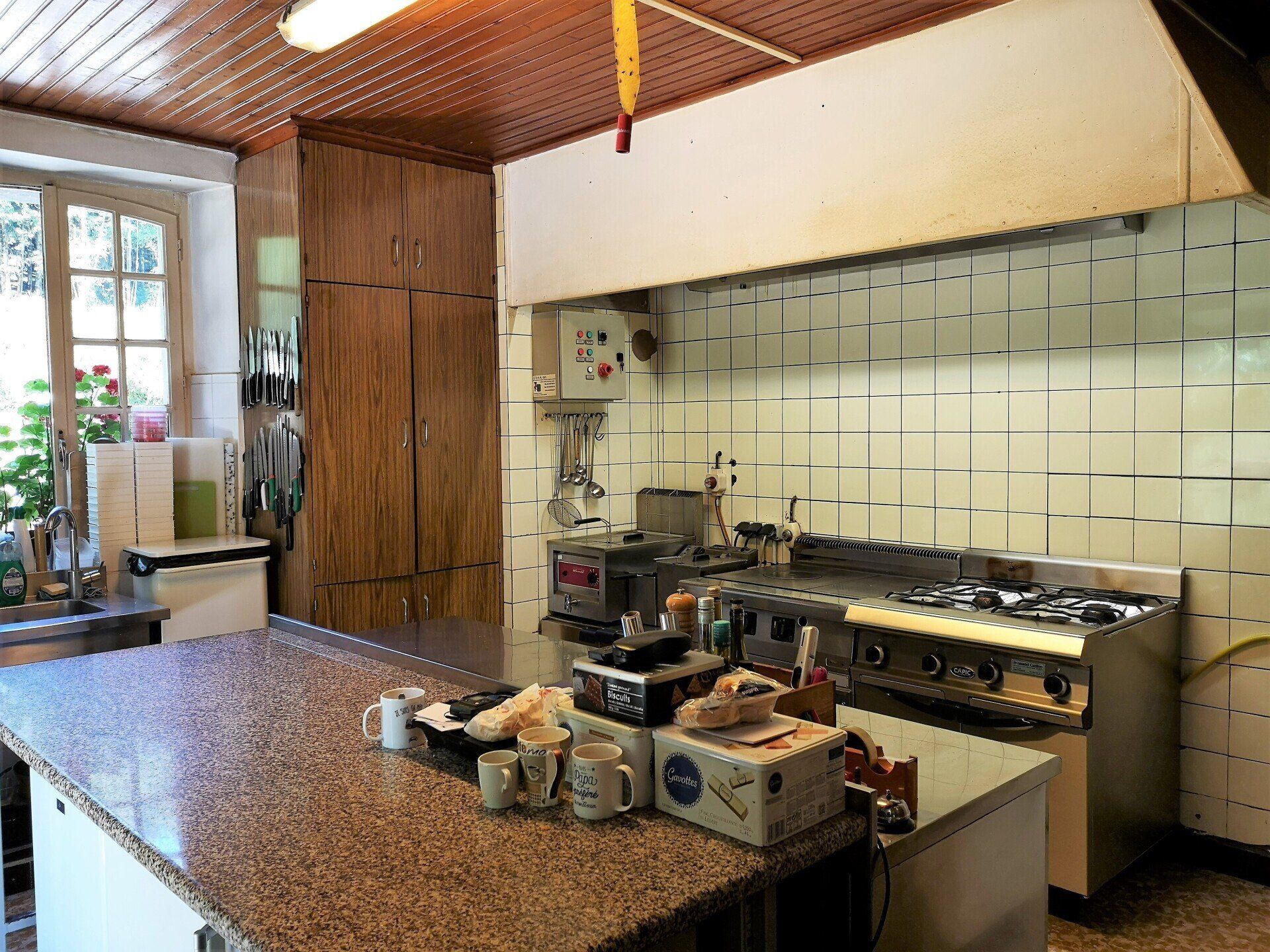 Restaurant cuisine