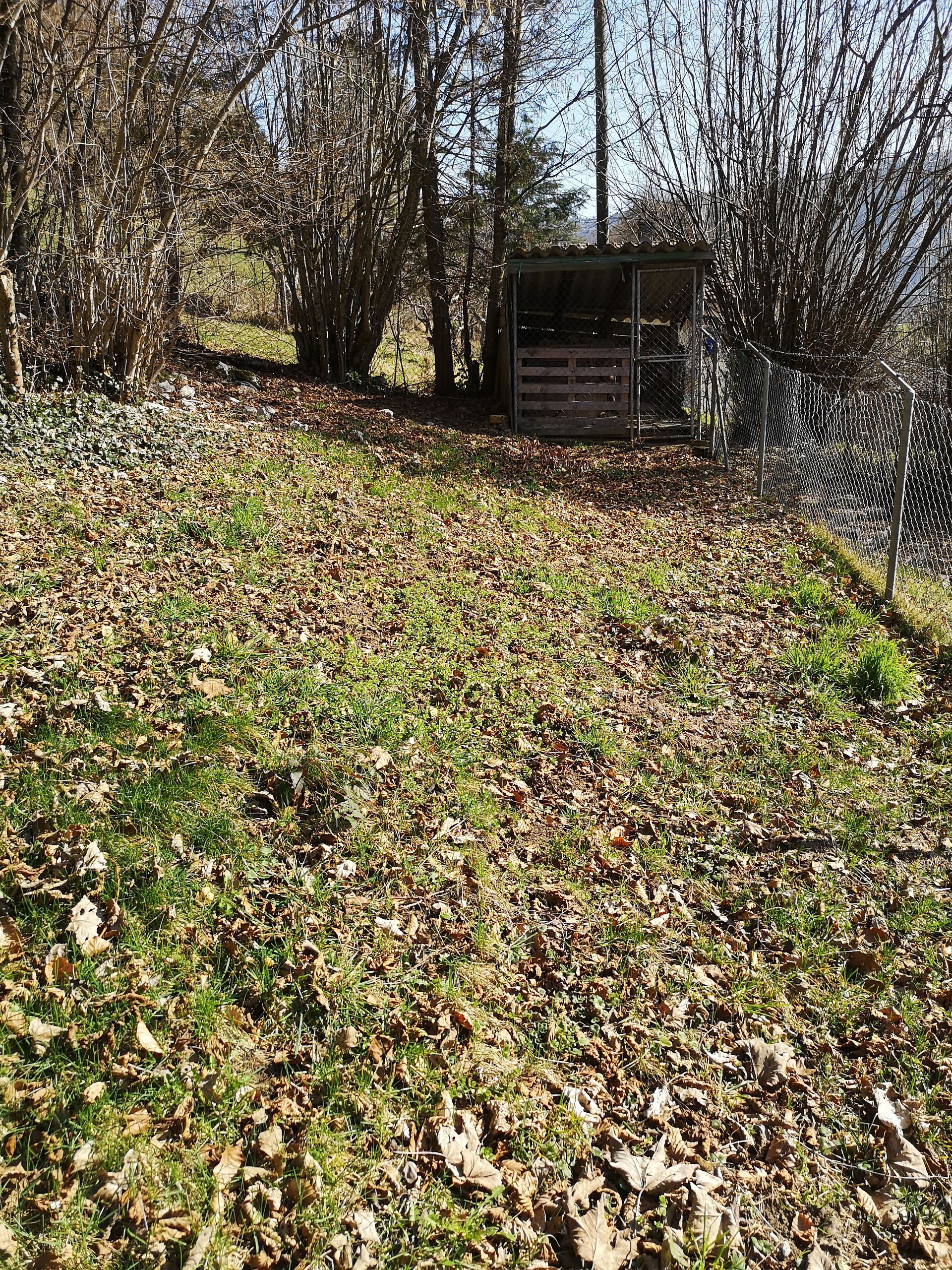 Chenil / Hundezwinger