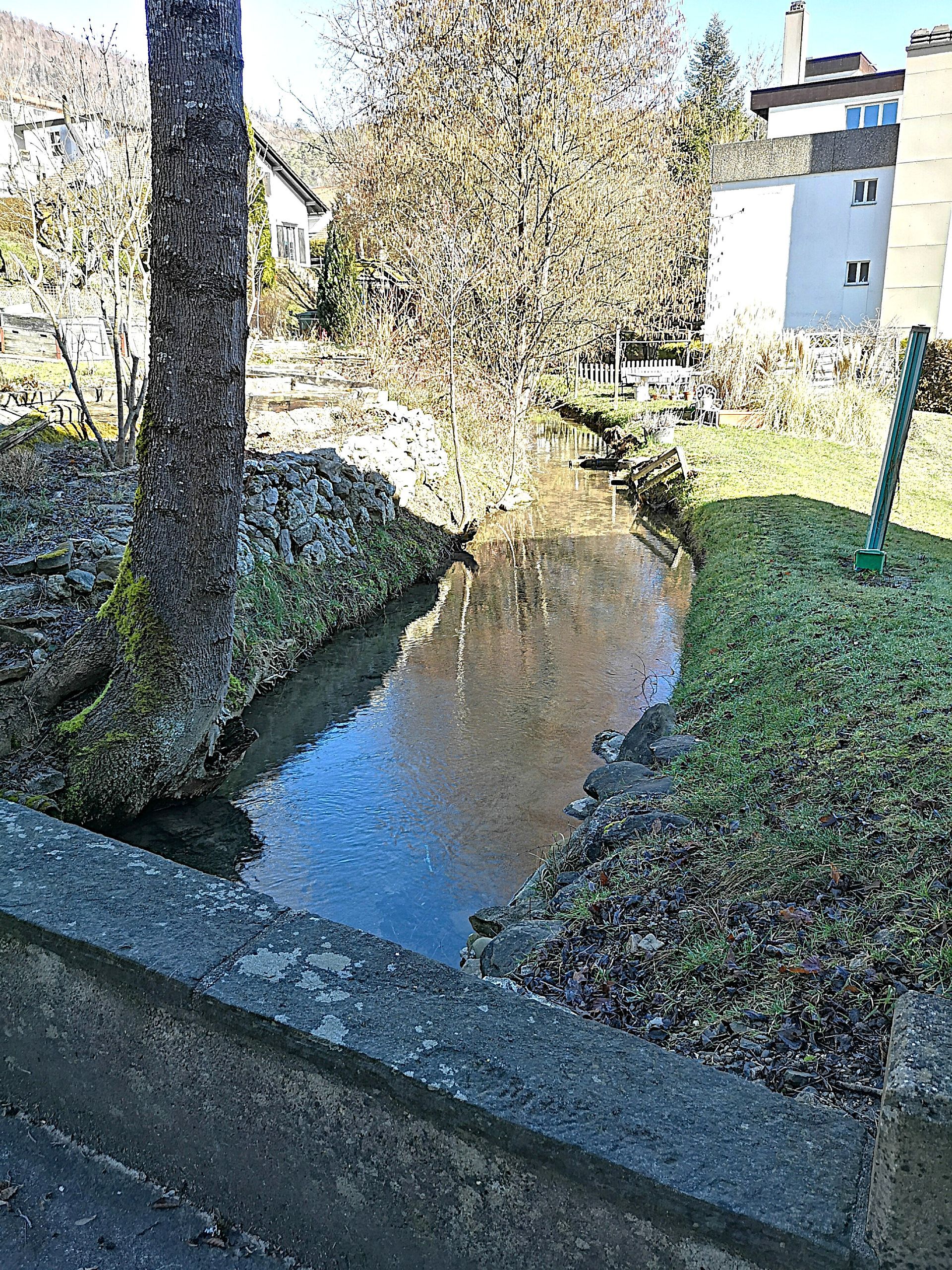 Ruisseau passant dans le haut de la parcelle