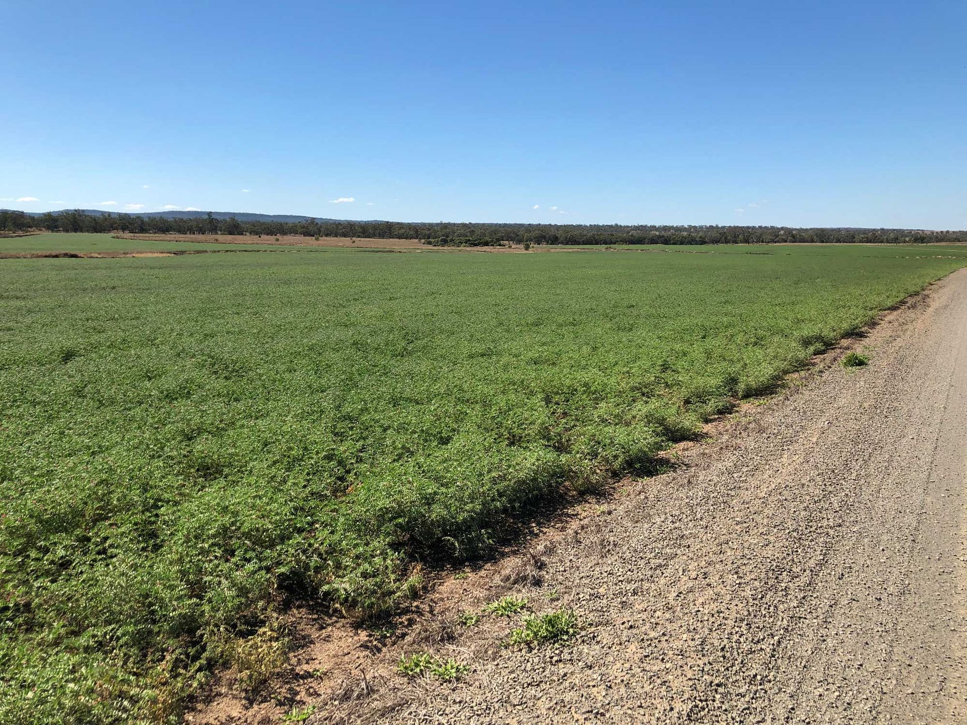 Dirt Road Runs Through a Large Green Field — MFM Soil Solutions in Rockhampton, QLD