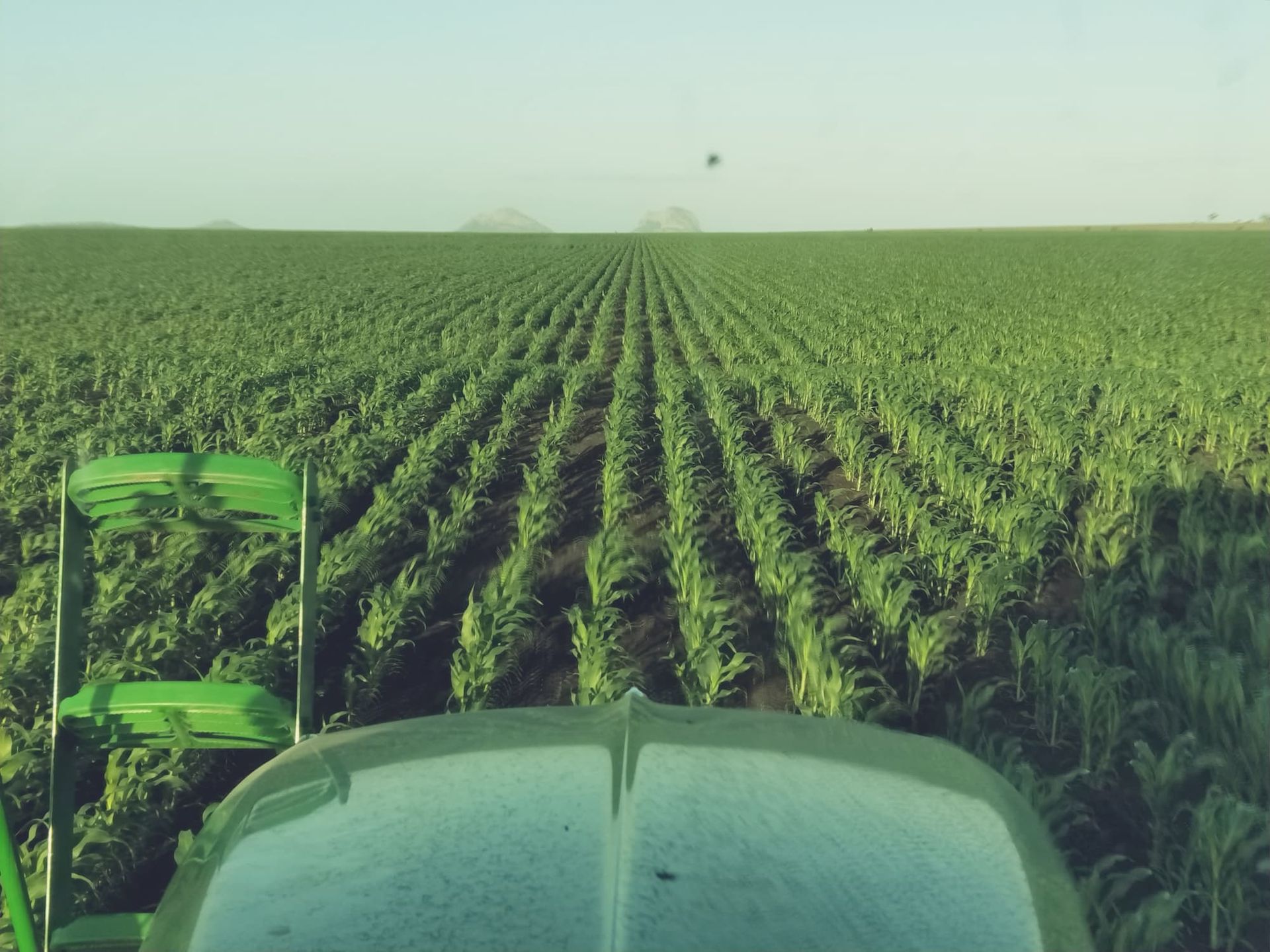 Green Tractor is Driving Through a Corn Field — MFM Soil Solutions in Townsville, QLD