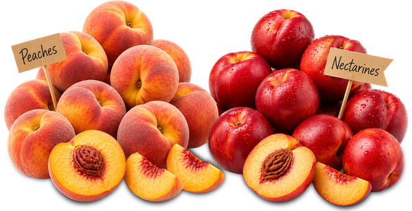 Peaches and Nectarines. There's even a cute little sign.